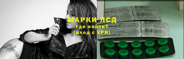 ГАЛЛЮЦИНОГЕННЫЕ ГРИБЫ Балабаново