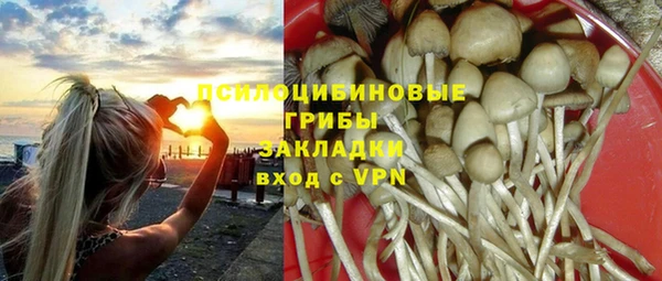 ГАЛЛЮЦИНОГЕННЫЕ ГРИБЫ Балабаново