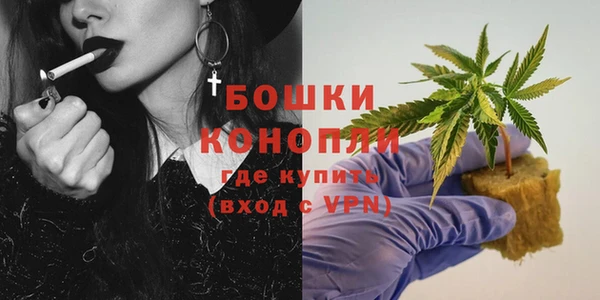 ГАЛЛЮЦИНОГЕННЫЕ ГРИБЫ Балабаново