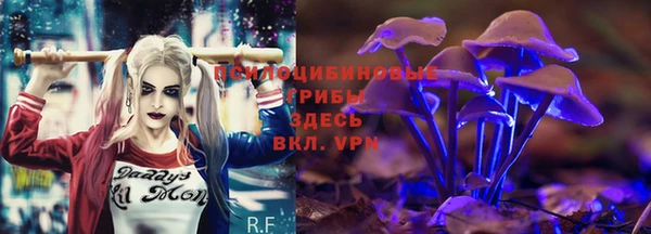 мяу мяу мука Баксан